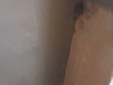 Screenshot 2025 09 06 102644 Pamech